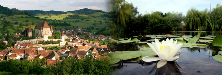 Transylvania & The Danube Delta